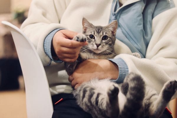 Veterinary Care Fund